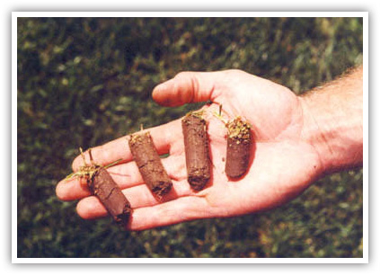 WeedPro® Lawn Care - Core Aeration
