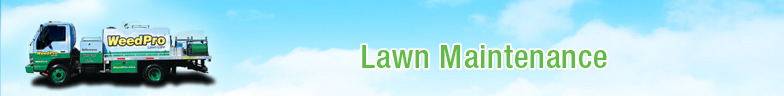 Lawn Maintenance