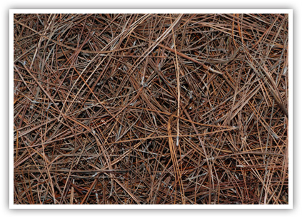 WeedPro® Lawn Care - Pine Straw