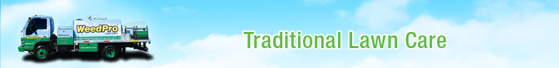 Traditional Lawn Care